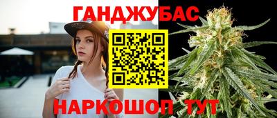 стаф Дубна