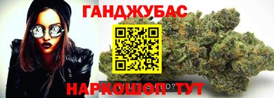 стаф Дубна