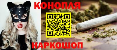 стаф Дубна