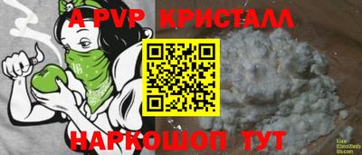стаф Дубна
