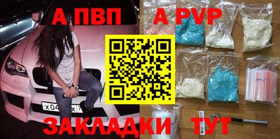 стаф Дубна
