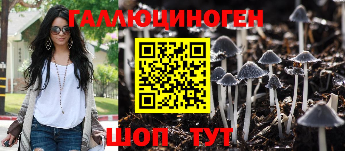 Галлюциногенные грибы Cubensis Магадан