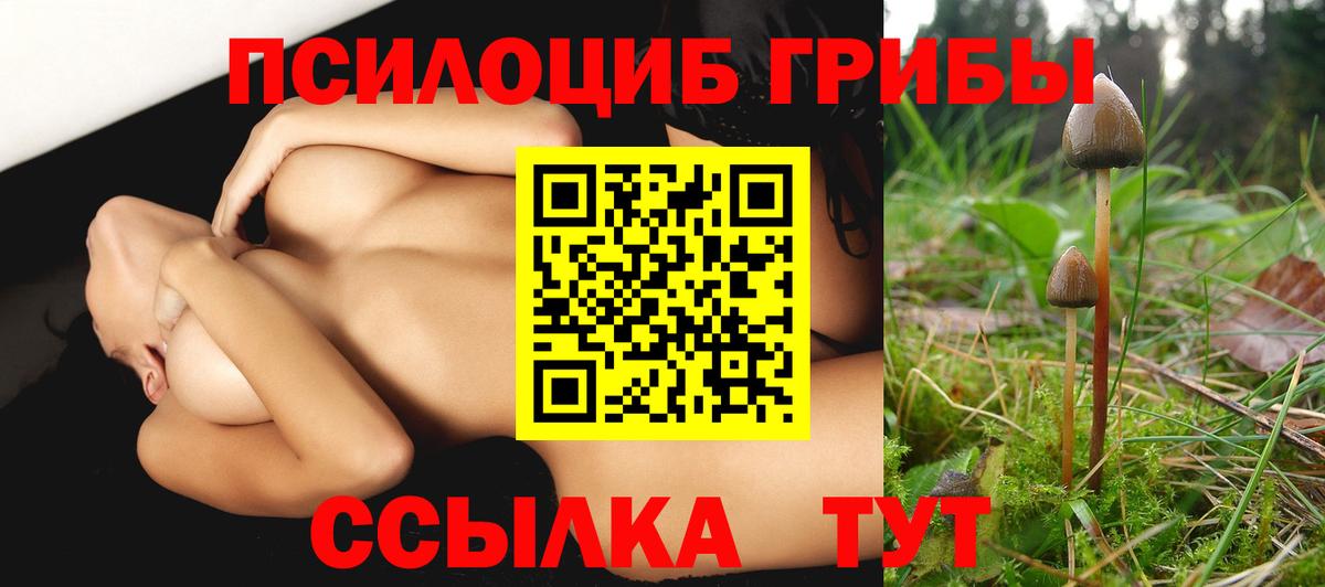 Псилоцибиновые грибы Psilocybe  Псилоцибиновые грибы прущие грибы  Магадан  Вход с VPN 